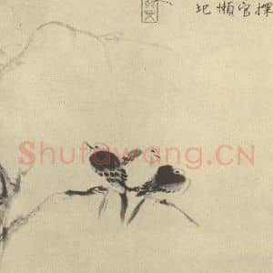清代 朱耷国画作品《白雀图》摘自 南画大成 卷六