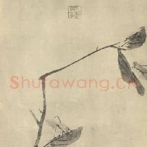 清代 朱耷国画作品《䘀螽图》摘自 南画大成 卷六