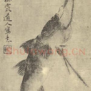 清代 马元驭国画作品《画鱼》摘自 南画大成 卷六