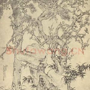 清代 杨晋国画作品《三公五爵图》摘自 南画大成 卷六