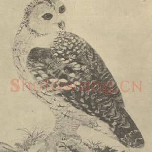 清代 蒋廷锡国画作品《翎毛图(二)》摘自 南画大成 卷六