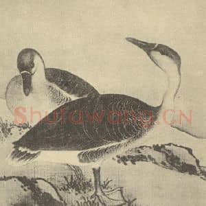 清代 蒋廷锡国画作品《翎毛图(四)》摘自 南画大成 卷六