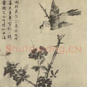 清代 蒋廷锡国画作品《花鸟》摘自 南画大成 卷六