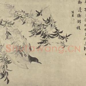 清代 蒋廷锡国画作品《流莺图》摘自 南画大成 卷六