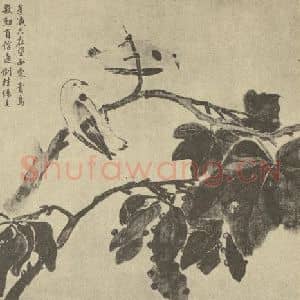 清代 蒋廷锡国画作品《画梧桐青鸟》摘自 南画大成 卷六