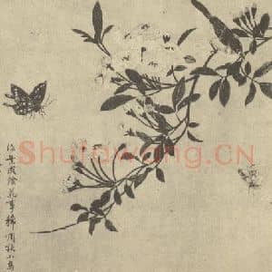 清代 蒋廷锡国画作品《蛱蝶图》摘自 南画大成 卷六