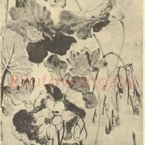 清代 李鳝国画作品《莲池鸳鸯图》摘自 南画大成 卷六