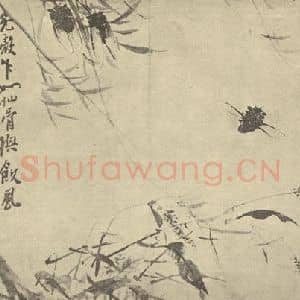 清代 李鳝国画作品《秋蝉图》摘自 南画大成 卷六