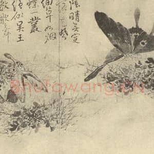清代 边寿民国画作品《蝴蝶图》摘自 南画大成 卷六