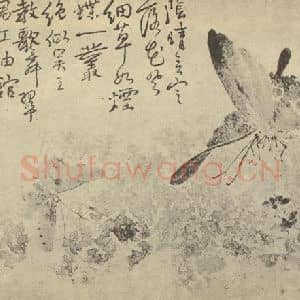 清代 边寿民国画作品《蝴蝶图》摘自 南画大成 卷六