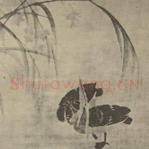 清代 边寿民国画作品《芦雁图(一)》摘自 南画大成 卷六