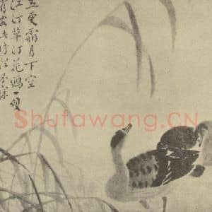 清代 边寿民国画作品《芦雁图(三)》摘自 南画大成 卷六