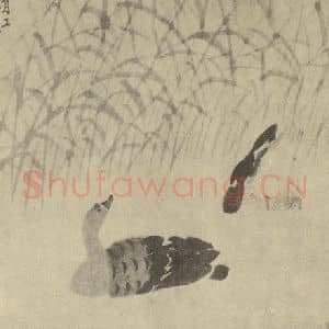 清代 边寿民国画作品《芦雁图(五)》摘自 南画大成 卷六