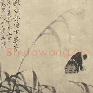 清代 边寿民国画作品《芦雁图(六)》摘自 南画大成 卷六