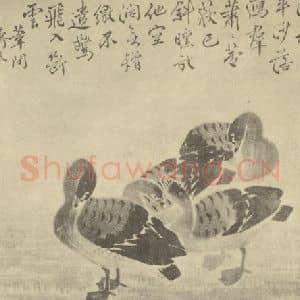 清代 边寿民国画作品《芦雁图(九)》摘自 南画大成 卷六