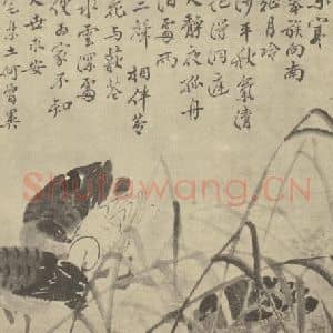 清代 边寿民国画作品《芦雁图(十)》摘自 南画大成 卷六