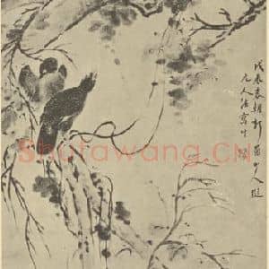 清代 华岩国画作品《鸜鹆图》摘自 南画大成 卷六