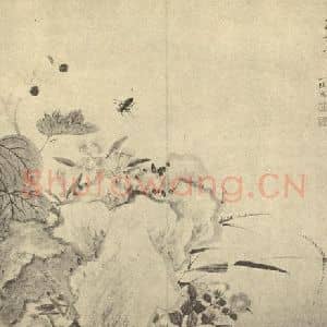 清代 邹一桂国画作品《草虫图》摘自 南画大成 卷六