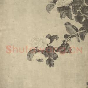 清代 邹一桂国画作品《花鸟图(一)》摘自 南画大成 卷六