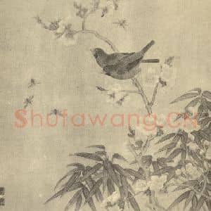 清代 邹一桂国画作品《花鸟图(三)》摘自 南画大成 卷六