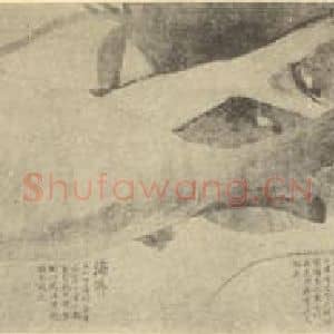 清代 赵之谦国画作品《画东瓯海物卷图(一)》摘自 南画大成 卷六