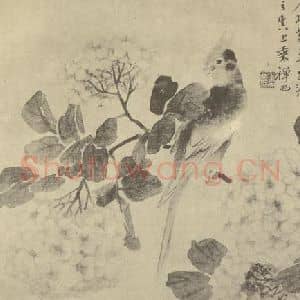 清代 陆恢国画作品《鹦哥图》摘自 南画大成 卷六