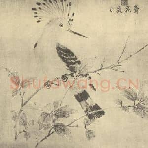 宋·辽代 宋人国画作品《蕣花笑日》摘自 南画大成 卷六