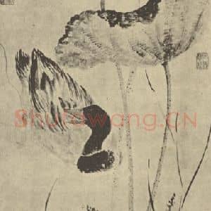 明代 陈淳国画作品《秋塘野鸭图》摘自 南画大成 卷六
