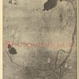 清代 华岩国画作品《松鼠图》摘自 南画大成 卷七