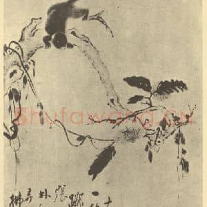 清代 华岩国画作品《栗鼠图》摘自 南画大成 卷七