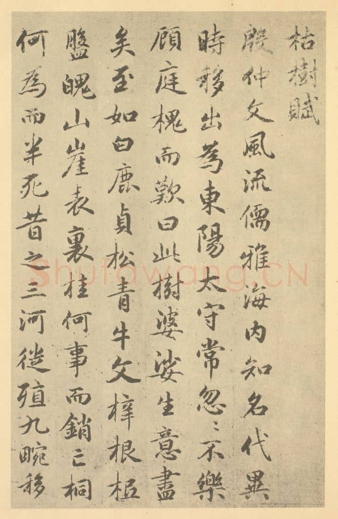 元 赵孟俯《元·赵孟俯·枯树图页·赵孟俯临题跋(一)》篆刻印章作品