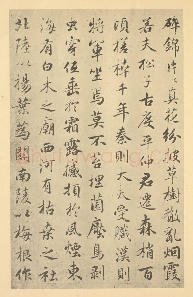 元 赵孟俯《元·赵孟俯·枯树图页·赵孟俯临题跋（三）》篆刻印章作品