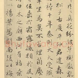 元代 赵孟俯·枯树图页·赵孟俯临题跋(三)