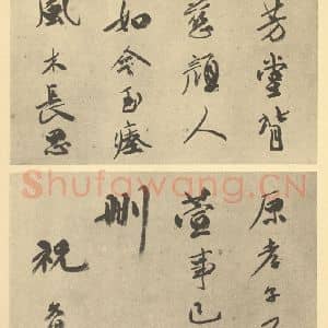 明代 张灵·花卉卷·祝允明题跋