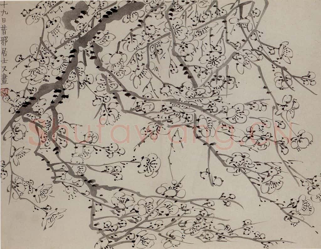 1757年 金农《梅花册》书画作品