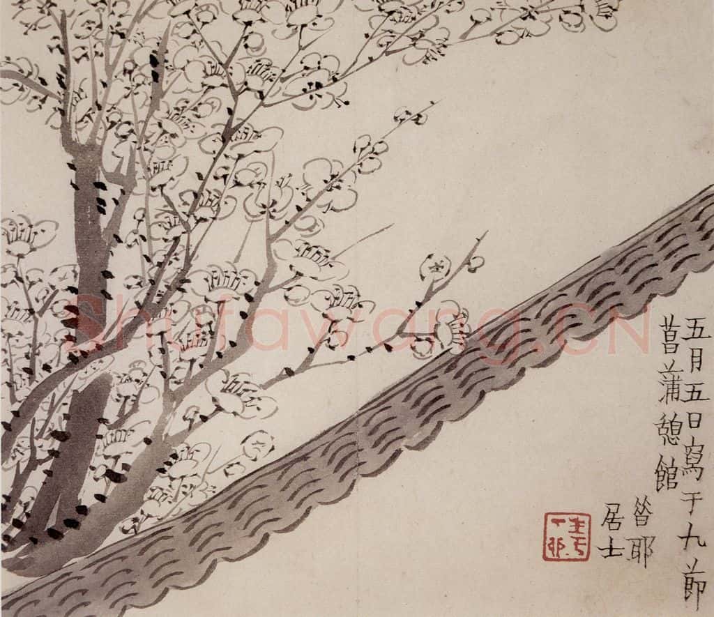 1754年 金农《梅花册》书画作品