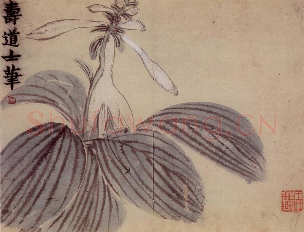1761年 金农《花卉册》书画作品