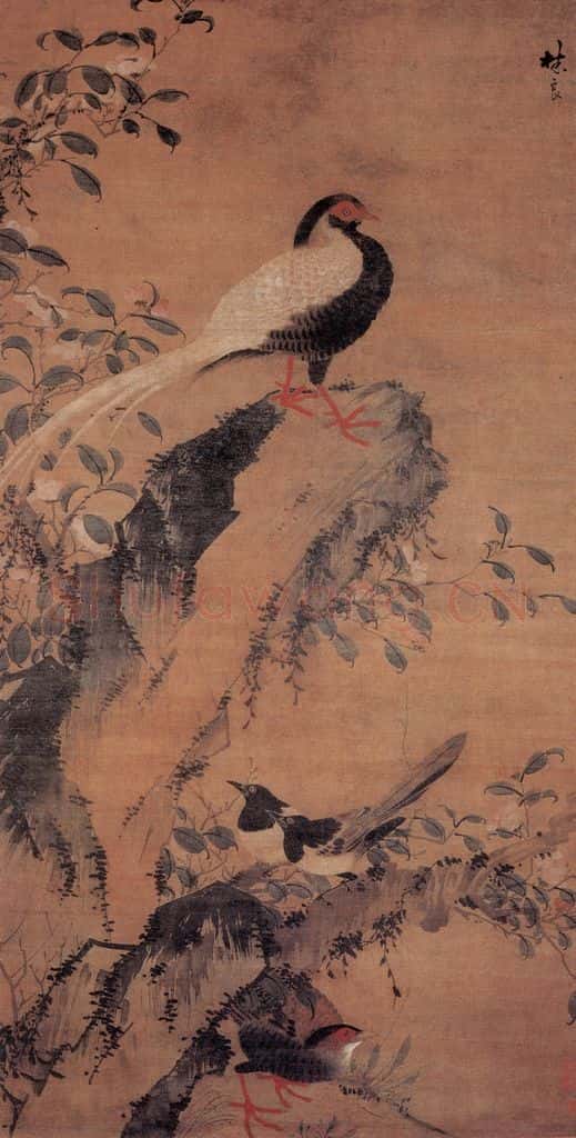 明 林良 山茶白鹇图 书画作品
