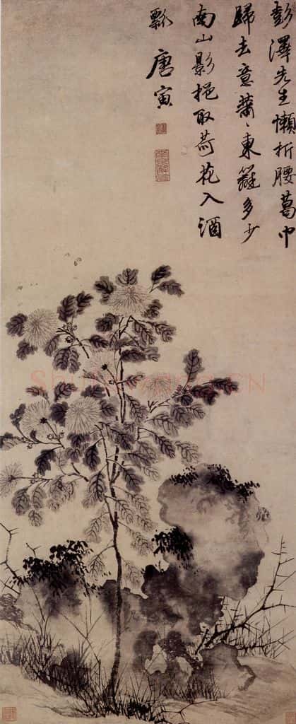 明 唐寅《菊花图》书画作品