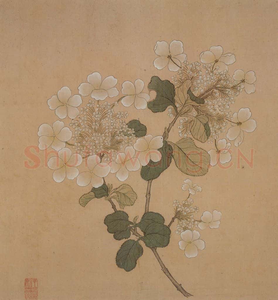 明 王维烈《花卉册》书画作品