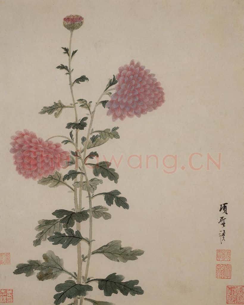 明 项圣谟《花卉册》书画作品
