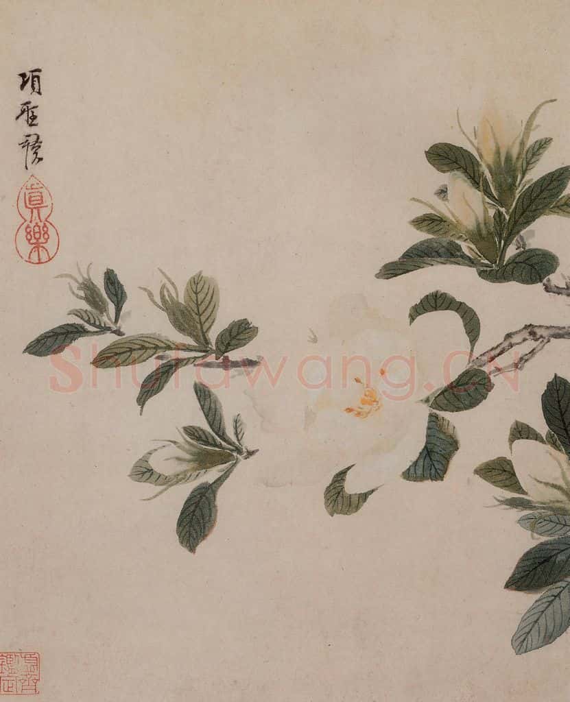 明 项圣谟《花卉册》书画作品
