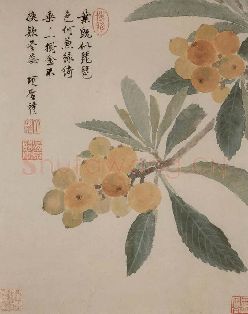 明 项圣谟《花卉册》书画作品