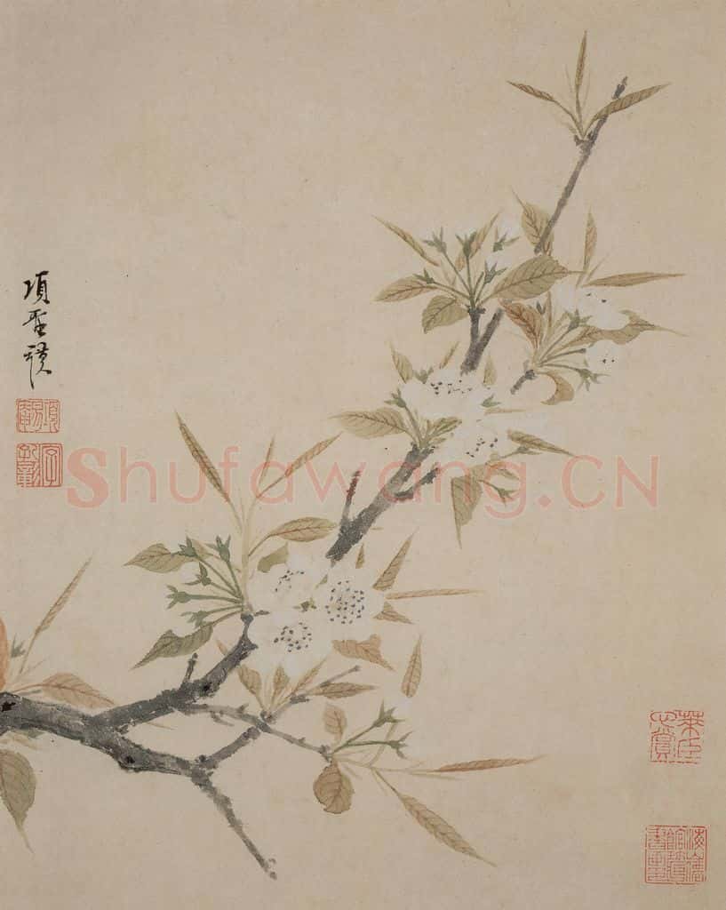明 项圣谟《花卉册》书画作品