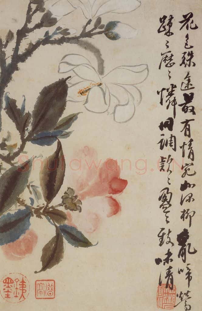 清 石涛《花卉册》书画作品