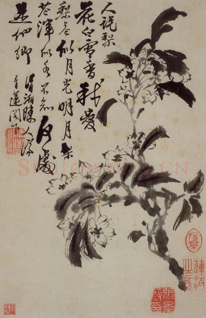 清 石涛《花卉册》书画作品