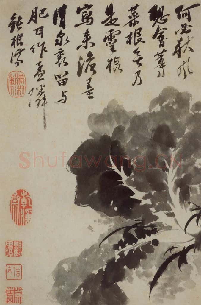 清 石涛《花卉册》书画作品