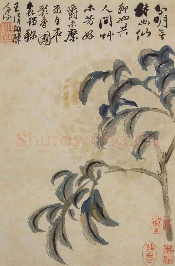 清 石涛《花卉册》书画作品