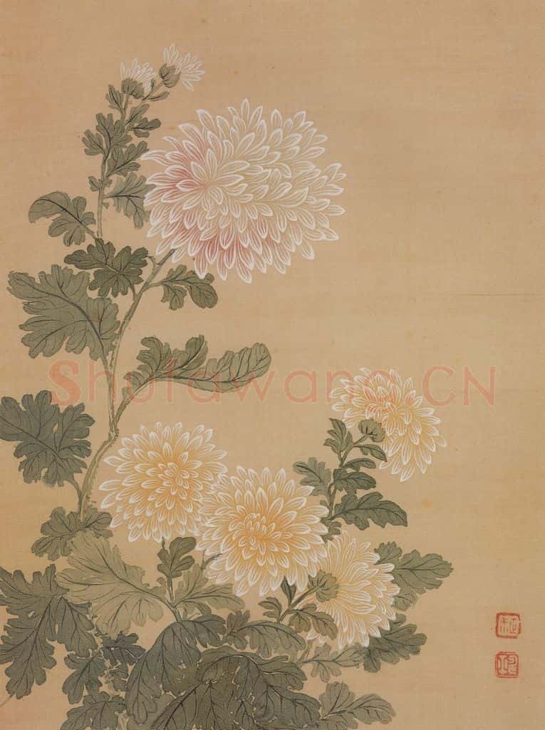 清 恽寿平《花卉册》书画作品