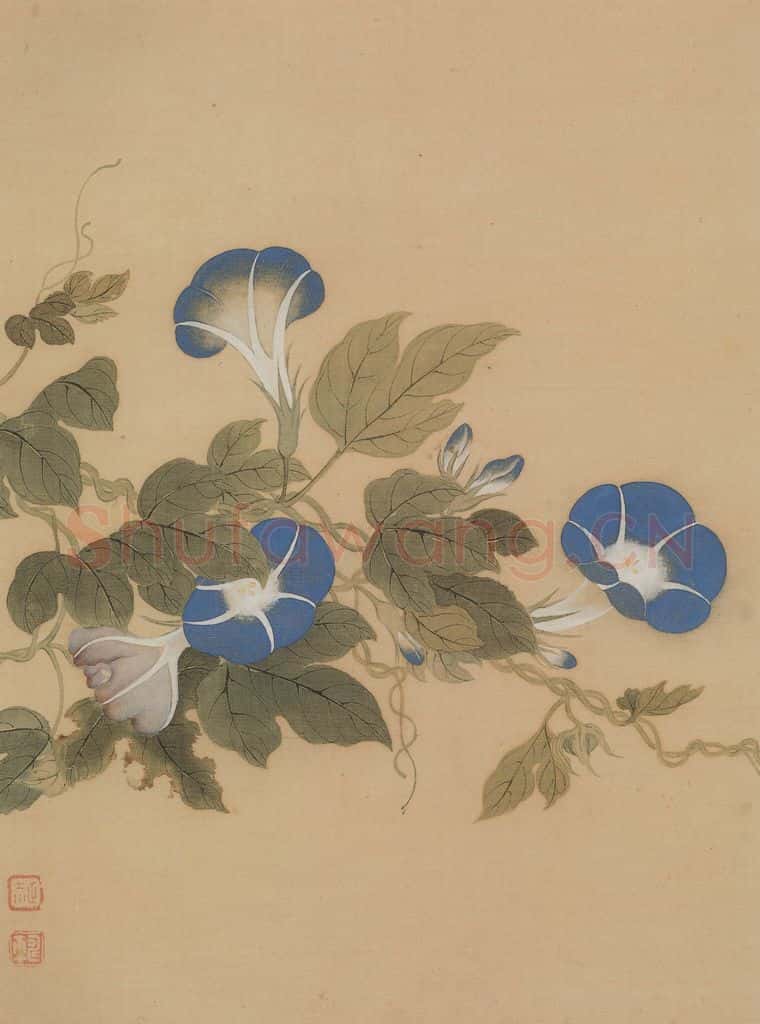 清 恽寿平《花卉册》书画作品